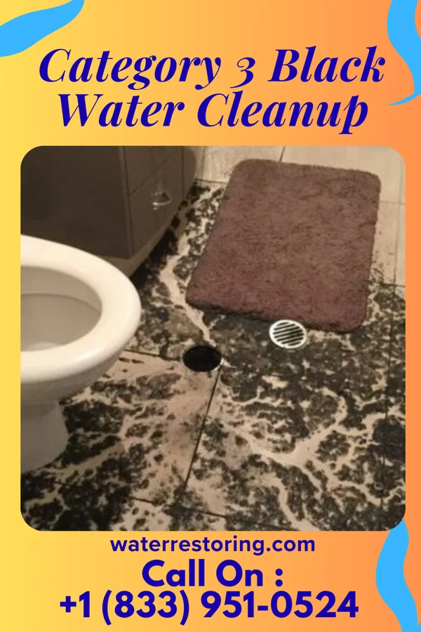 Category 3 Black Water Cleanup in Ashland, AL